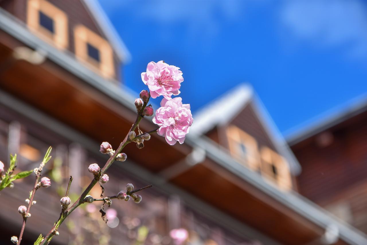 Beverly B&B Renai Exterior foto